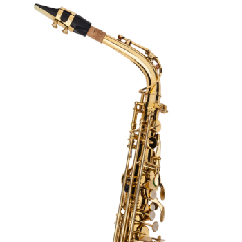 Glarry Kit Saxophone Alto Mib Adulte avec 11 Anches Accessoires